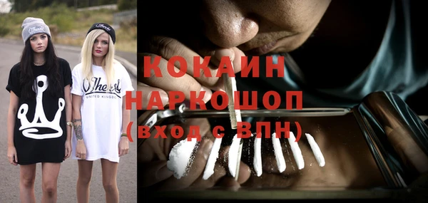прущие грибы Новодвинск