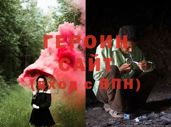 прущие грибы Новодвинск