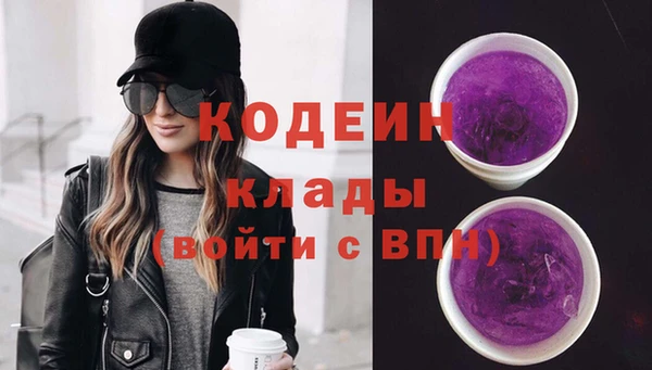 прущие грибы Новодвинск