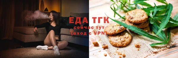 гашик Новозыбков