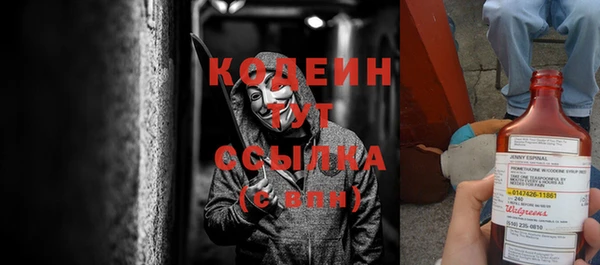 прущие грибы Новодвинск
