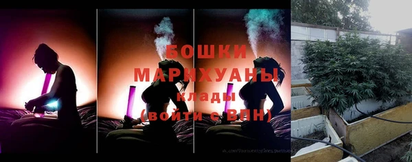 прущие грибы Новодвинск