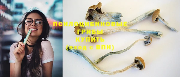 прущие грибы Новодвинск