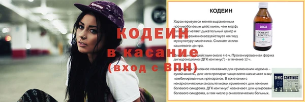 гашик Новозыбков