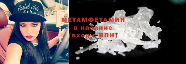 прущие грибы Новодвинск