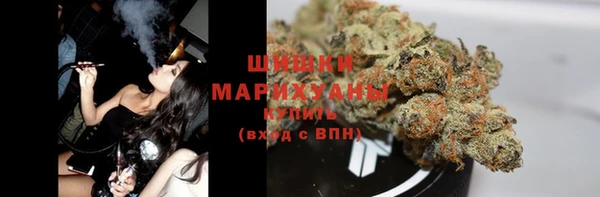 гашик Новозыбков