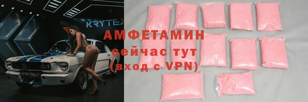 гашик Новозыбков