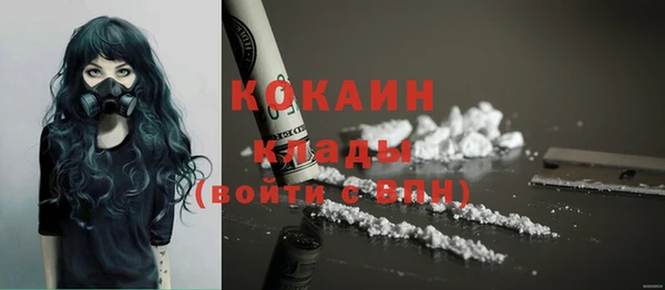 гашик Новозыбков