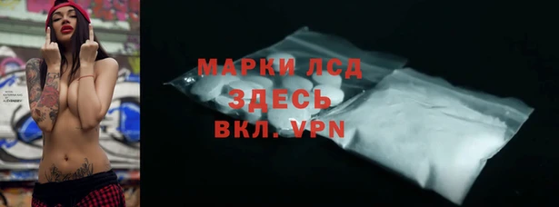 прущие грибы Новодвинск