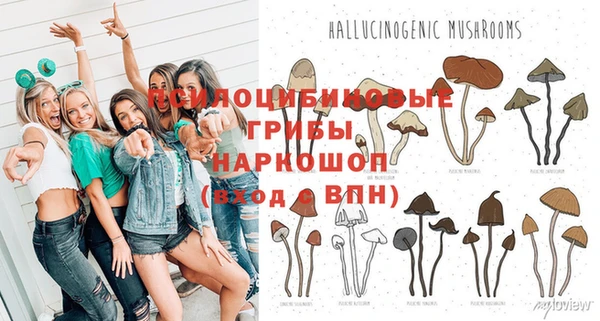 винт Новокубанск