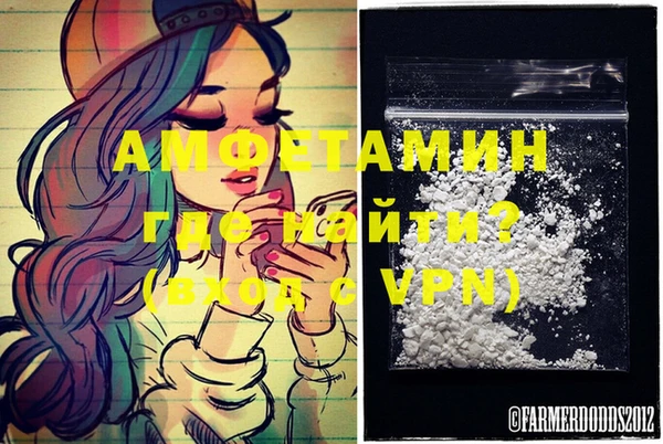 прущие грибы Новодвинск