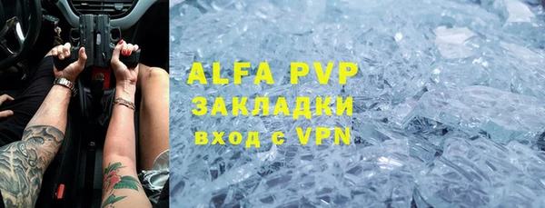 гашик Новозыбков