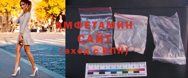 гашик Новозыбков