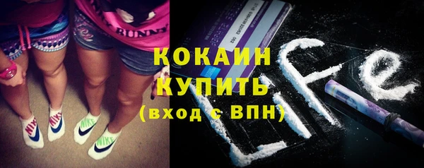 гашик Новозыбков