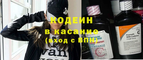 прущие грибы Новодвинск