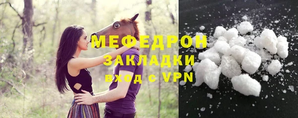 гашик Новозыбков