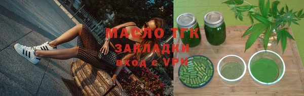 гашик Новозыбков