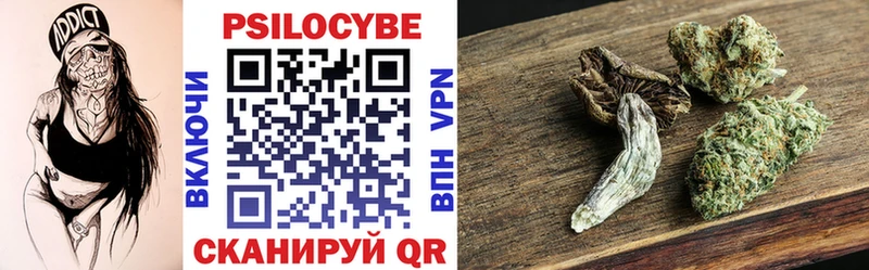 Псилоцибиновые грибы Psilocybine cubensis как найти закладки OMG tor Отрадное